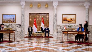 وزيرة التخطيط والتعاون الدولى