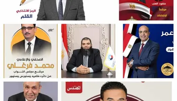 المرشحين 