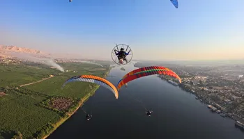 البارامتور