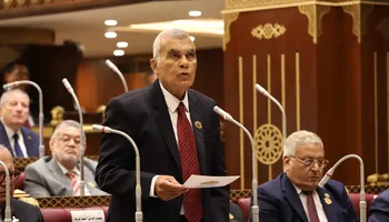 المستشار عصام فريد