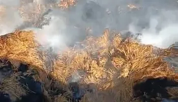 جانب من آثار الحريق 