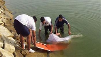 صوره ارشيفيه 