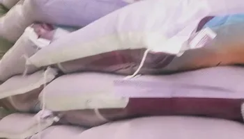 ضبوطات