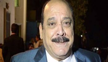 ضياء الميرغني 