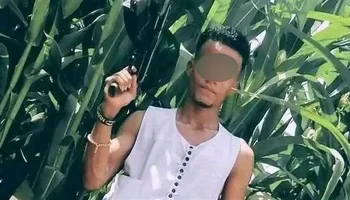 عصفور خط الصعيد