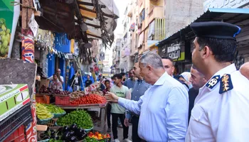 محافظ الإسكندرية 