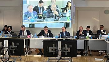 محمد فريد الرقابة المالية