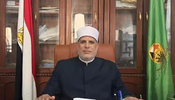 محمود حسانين