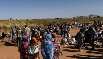 مدينة الفاشر