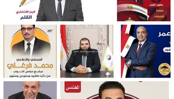 مرشحين دائرة طامية وسنورس وسنهور
