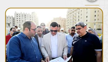 وزير الاسكان 