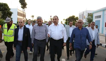 وزير قطاع الأعمال 