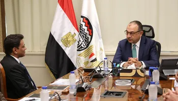 وزير قطاع الأعمال 