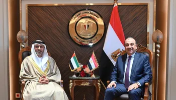 وزير قطاع الاعمال 