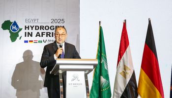 وزير قطاع الاعمال 