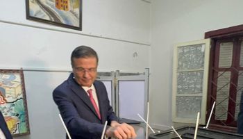 علاء فاروق وزير الزراعة