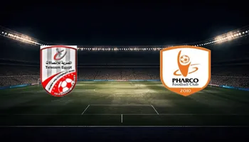 فاركو وتليفونات بني سويف 