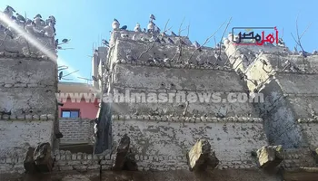 ابراج الحمام الجبلي بالوقف 