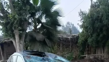 العروس المتوفية 