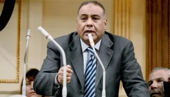  المستشار محمد سليم