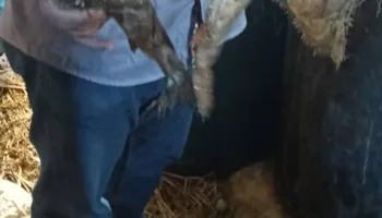 جانب من الضبطيات 