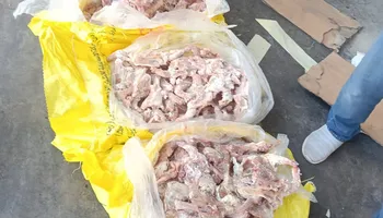 جانب من المضبوطات 