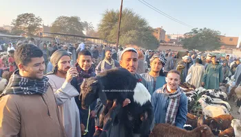 سوق المواشي في سوهاج 