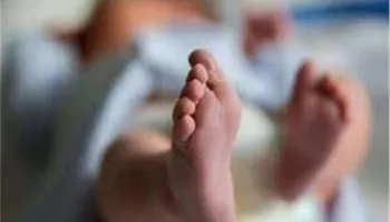 صوره ارشيفيه 