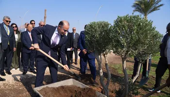 فريد يزرع شجرة