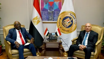 كامل الوزير 