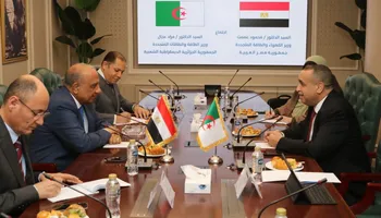 وزير الكهرباء 