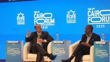 وزير المالية