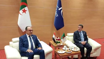 وزير قطاع الأعمال 