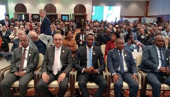 وزير قطاع الاعمال