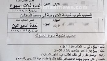 صورة من قرار الفصل