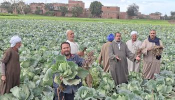 رفع إيجار أراضي الأوقاف