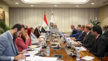 وزير قطاع الأعمال 