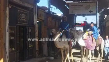 الاهالي