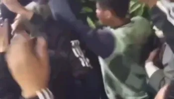 احتشاد انصار الشعيني 