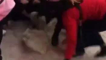 اعتداء طالبات على زميلتهم