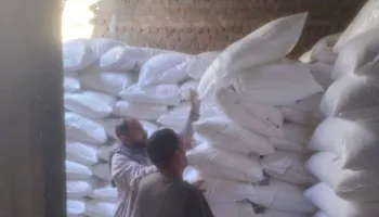 الأسمدة الزراعية 