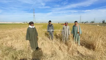 الاراضي الزراعيه 