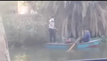 الصيد بالكهرباء 