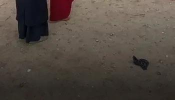 انتخابات مجلس النواب 