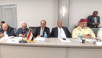 ايمن العشرى 