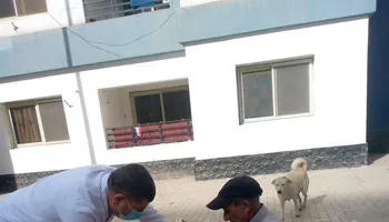 جانب من الجولة 