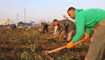 جانب من الحادث 