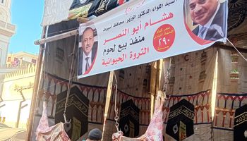 جانب من الحملة 