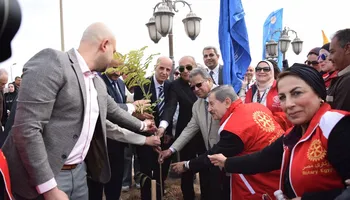 زراعة شجرة ماهوجنى 