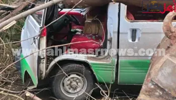 سقوط شجرة في البحبرة